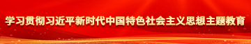 插入小屄学习贯彻习近平新时代中国特色社会主义思想主题教育